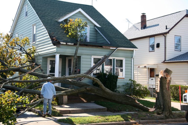 roof repair jacksonville fl